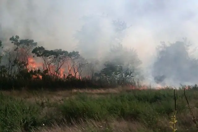 "Right now: A 4-alarm #brushfire on Buffalo St & Hyland Blvd on SI. No injuries. No buildling damage"